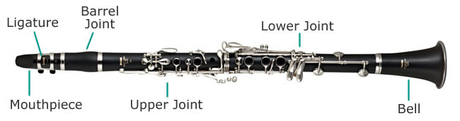 Clarinet Anatomy